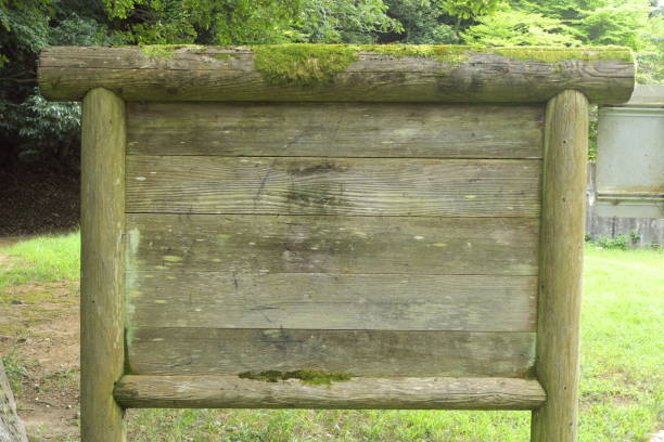 istock Bulletin board in the wood 1171510083