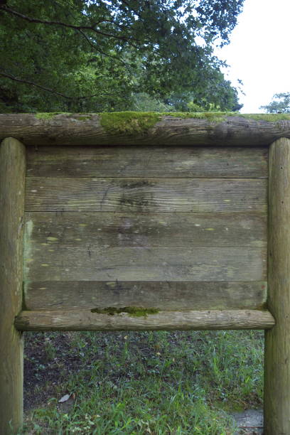 istock Bulletin board in the wood 1171510158