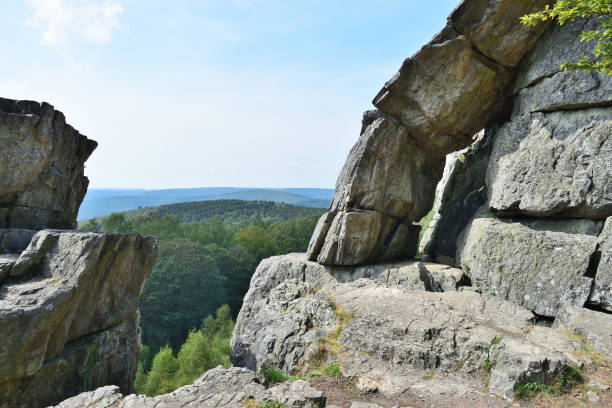 istock landscape nature tree stone rock hill 1171510712