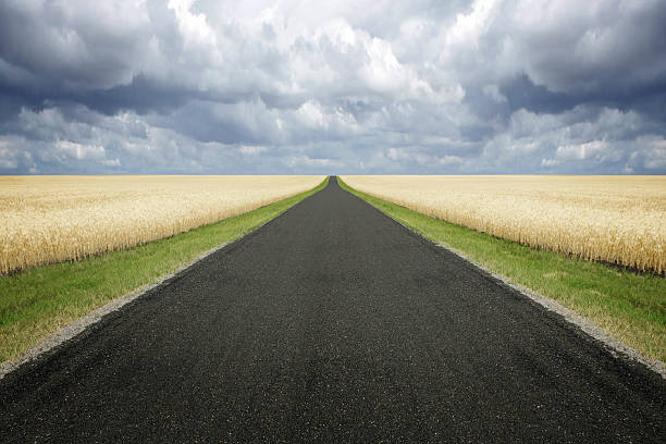 country road with wheat fields and storm clouds (XXL)