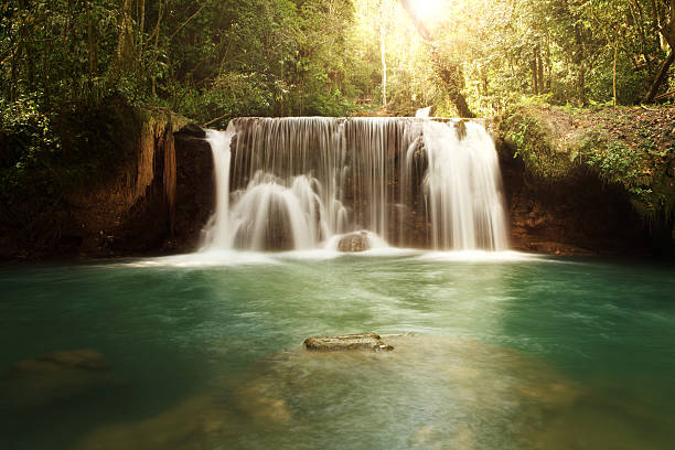 поднятие рук в положение y падает на ямайке - waterfall tropical rainforest water jamaica стоковые фото и изображения