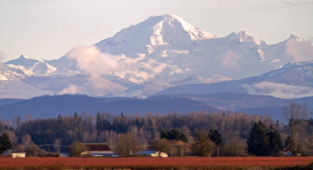 istock Mt Baker, Washington State, United States 1171515718