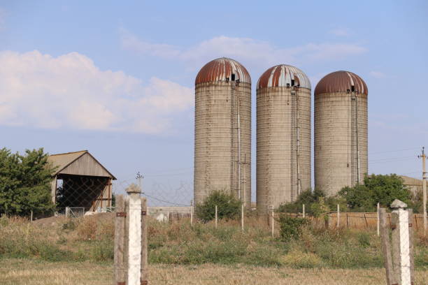 istock Old grain elevator built in USSR. Granary for wheat. 1171516052
