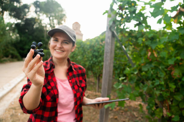 istock A woman farmer holds grapes and digital tablet 1171516081