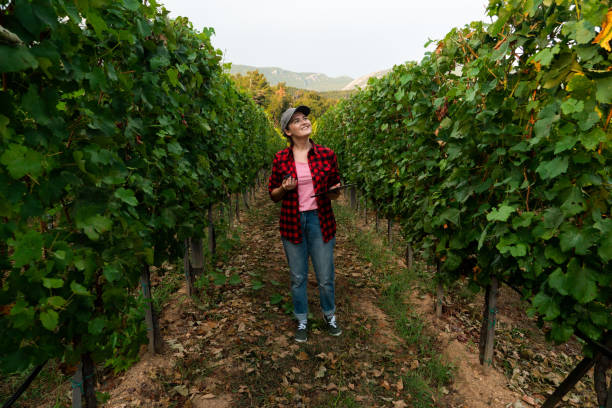 istock A woman farmer with digital tablet. 1171516173