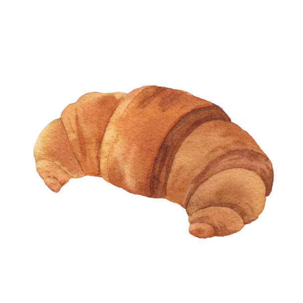 aquarell croissant - bread baked illustration and painting vector stock-grafiken, -clipart, -cartoons und -symbole