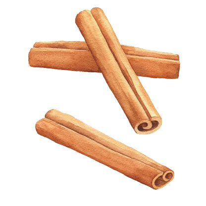 Watercolor Cinamon Sticks