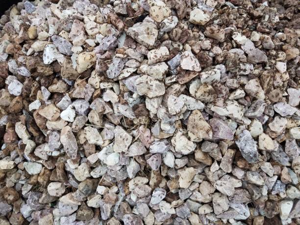 istock white and grey stones covered by hundreds of ants 1171518707