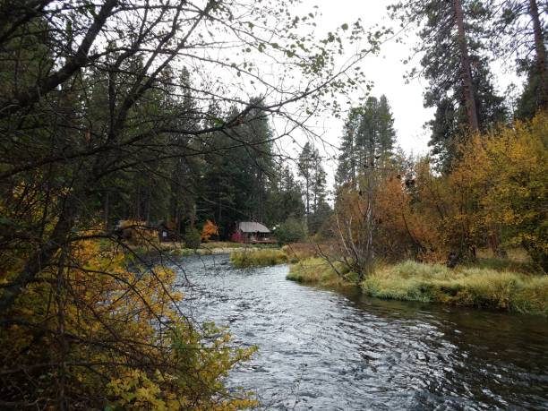 istock shore of the Metolius river in Oregon 1171520053