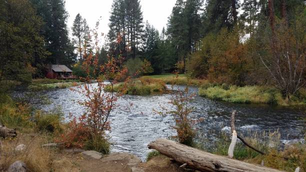 istock Metolius river in Camp Sherman Oregon and cabin 1171520062