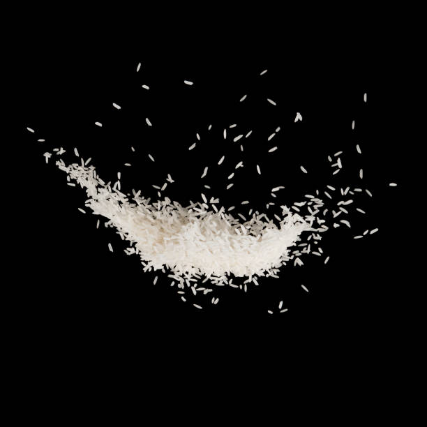 istock Stop motion white rice splash or explodsion flying in the air  isolated on black background food object design 1171520773