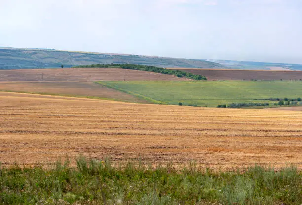 Field with hills in Ukraine on a sunny summer day