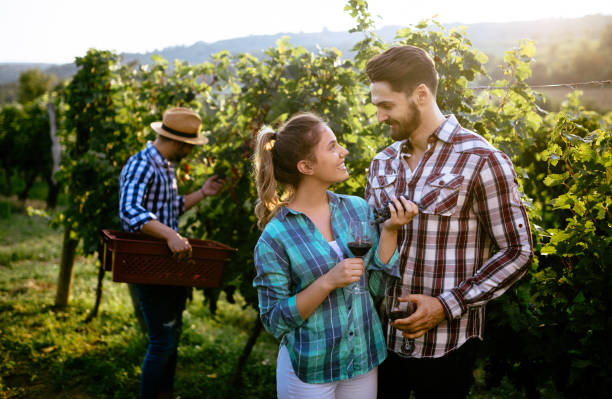 istock Woman and man in vineyard drinking wine 1171525730