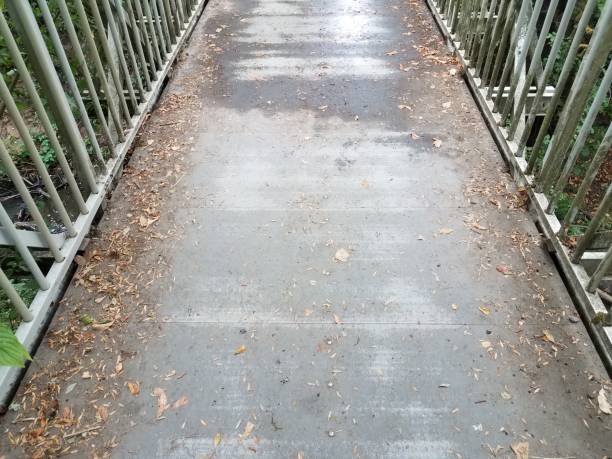 istock bridge walkway or path with railing and brown leaves 1171529004