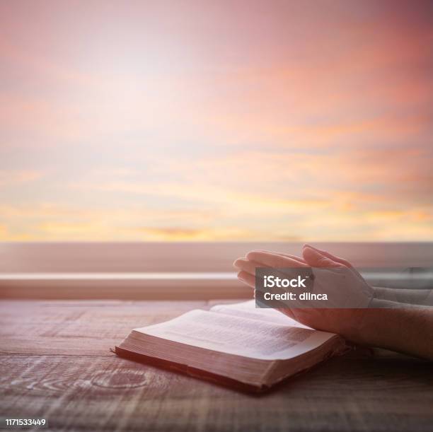 Close Up Of Womans Praying Hands Reading Bible With Dramatic Light Wood Table With Sun Rays Coming Through Window Christian Image Stock Photo - Download Image Now