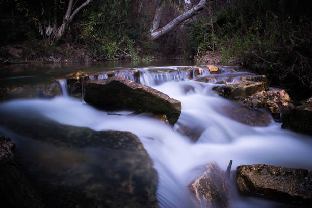 istock The flow of water alongside the stream stones 1171535096