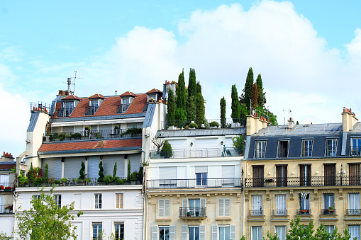 01 September. 2019:\nView of a vegetable terrace on the roof of a Haussmann building.