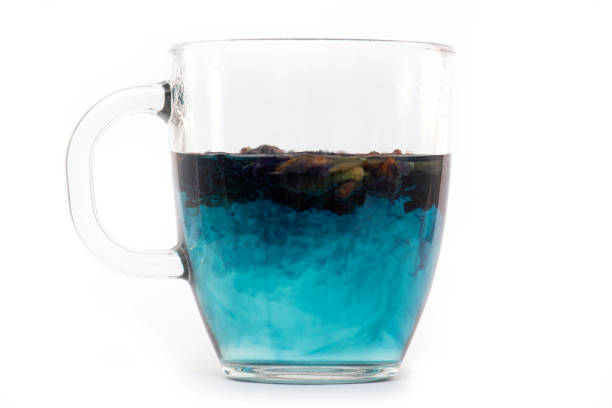 Cup of Butterfly pea Tea, blue Tea, asian, clitoria are ternate, Thailand Cup of Butterfly pea Tea, blue Tea, asian, clitoria are ternate, Thailand ternate stock pictures, royalty-free photos & images