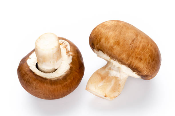 istock Fresh champignon mushrooms isolated on white. 1171538451