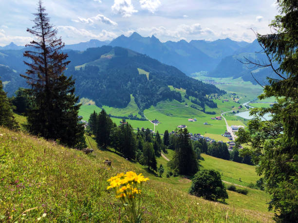 istock The fertile valley Sihl and the artificial lake Sihlsee, Euthal 1171539122