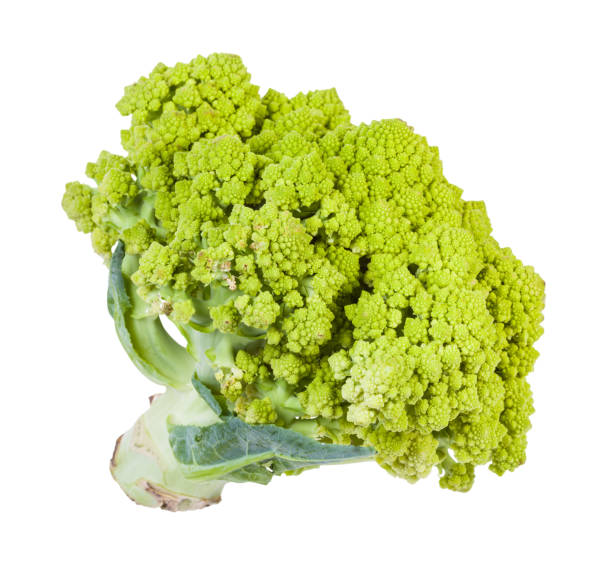 istock fresh romanesco broccoli isolated on white 1171539699