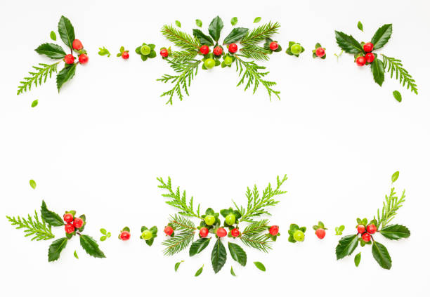 Christmas composition  with branches of spruce and holly with red berries on white background. Merry christmas greeting card with empty space for holiday text. Flat lay.