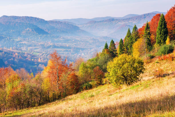 istock mountainous autumn countryside in the mourning 1171540540