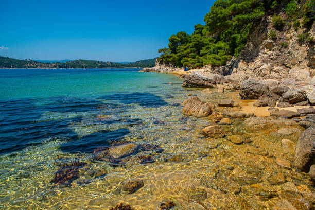 istock Sea and the rocky beach in Skiathos, Greece 1171541402