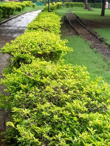 istock Beautiful garden with pathway and railway track 1171541798