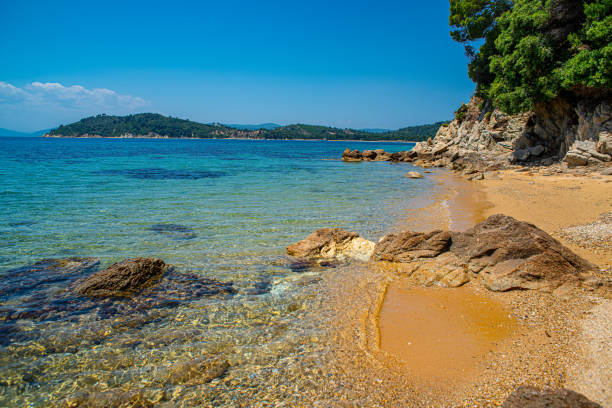 istock Sea and the rocky beach in Skiathos, Greece 1171541843