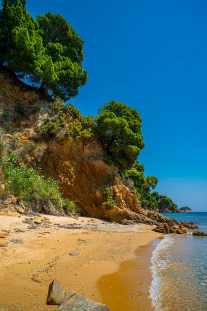 Crystal clear sea and the picturesque rocky beach in Skiathos, Greece