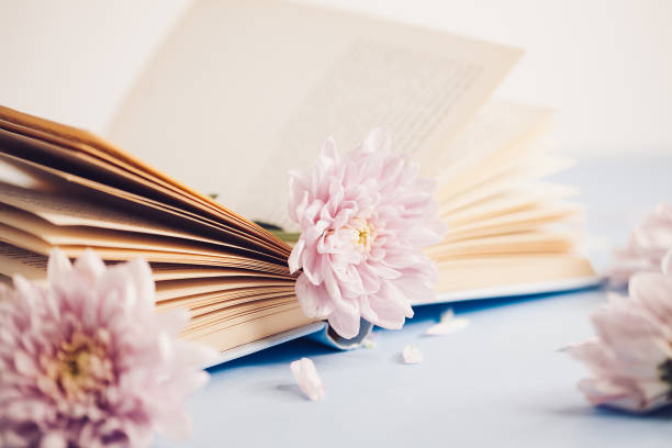 istock Opened old book with chrysanthemum flower on blurred bokeh background 1171545768
