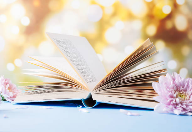 istock Opened old book with chrysanthemum flower on blurred bokeh background 1171545780