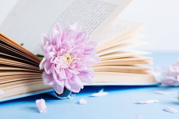 istock Opened old book with chrysanthemum flower on blurred bokeh background 1171545788