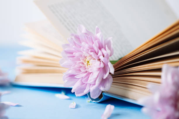 istock Opened old book with chrysanthemum flower on blurred bokeh background 1171545796