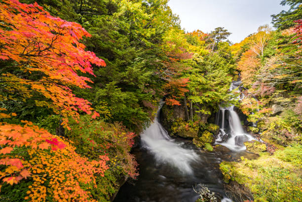 istock Ryuzu Waterfall Autumn forest Nikko Japan 1171546034