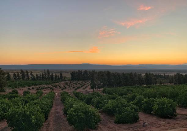 istock The Orange Sunrise 1171549702