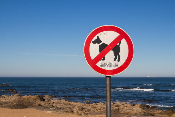 istock No dogs sign and Atlantic ocean 1171564957