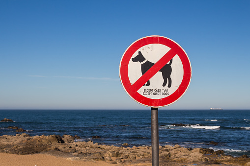 Coast of Atlantic ocean with a No dogs sign, except guide dogs. Small waves. Blue sky. Porto, Portugal.