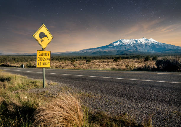 Kiwi crossing sign at night next to snowy Mount Ruapehu in New Zealand's Tongariro national park. stock photo