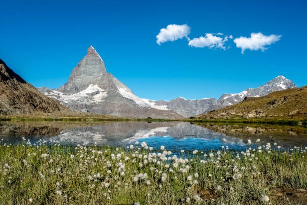istock Cotton grass and Matterhorn reflected in Lake  Riffelsee 1171565921