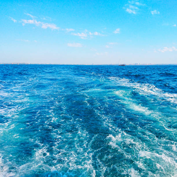 istock Big white spray of a sea wave 1171567102