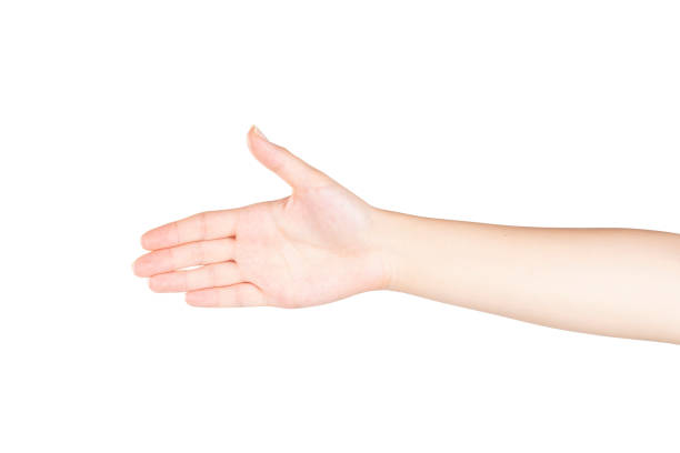 istock Female Hand is Shaking Hand on Isolated White Background 1171570270