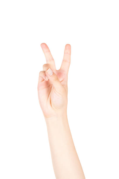 istock Female Hand is Making Number Two Sign on White Background 1171570325