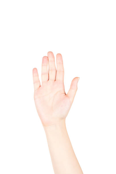 istock Female Hand is Making Number Five Sign on White Background 1171570330