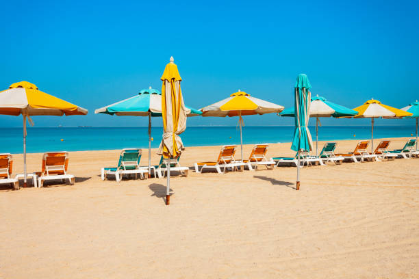 istock Kite public beach in Dubai, UAE 1171573265