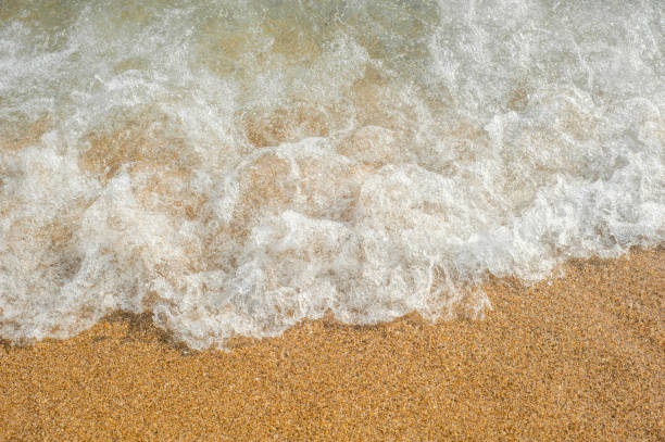 istock Soft waves with foam of sea on the sandy beach 1171573359