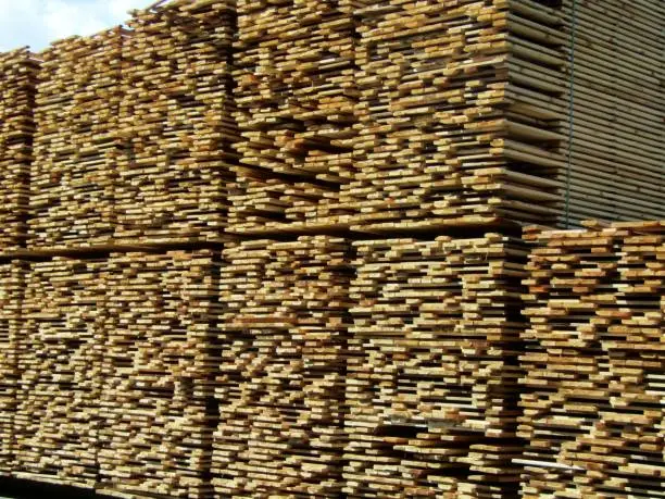 Photo of Stacks of cedar boards at saw mill