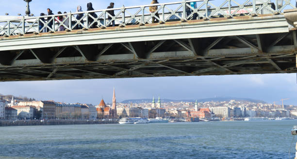 цепной мост шечени в будапеште - chain bridge budapest bridge lion стоковые фото и изображения