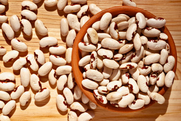 dry white beans close up - scicli imagens e fotografias de stock